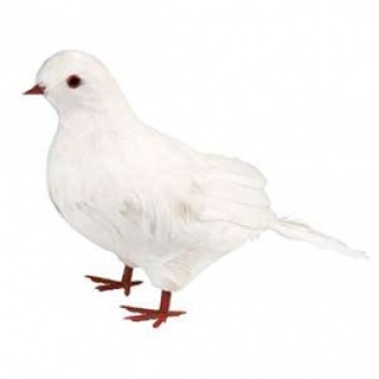 Dekorace holubička - bílá